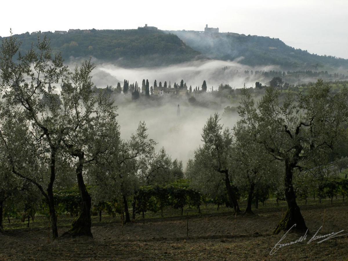 Holiday Home Podere Santa Lucia By Interhome Вольтерра Екстер'єр фото